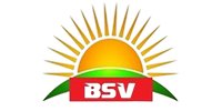 bsv-png-logo